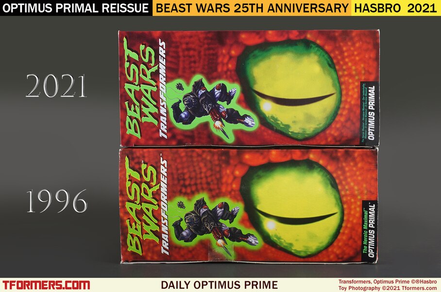 Daily Prime   25th Anniversary Beast Wars Optimus Primal Then And Now  (5 of 5)